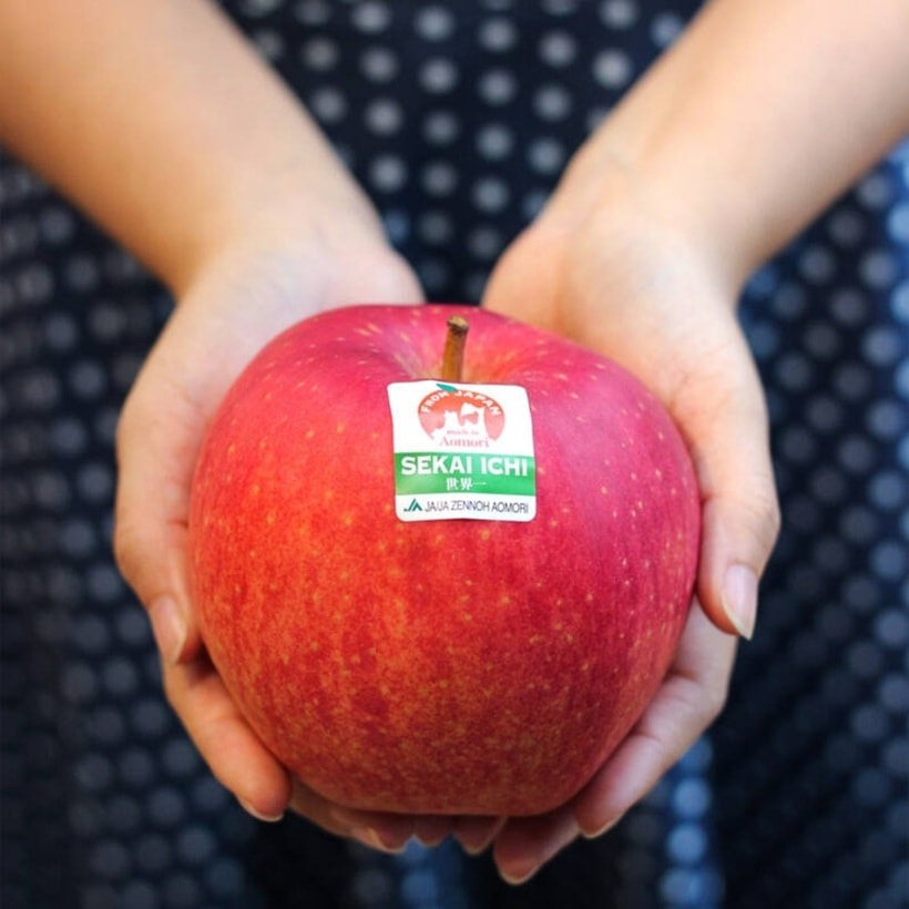 Táo Sekai Ichi được hái bằng tay một cách nhẹ nhàng và cẩn thận, sau đó trải qua quá trình kiểm tra khuyết điểm nghiêm ngặt.