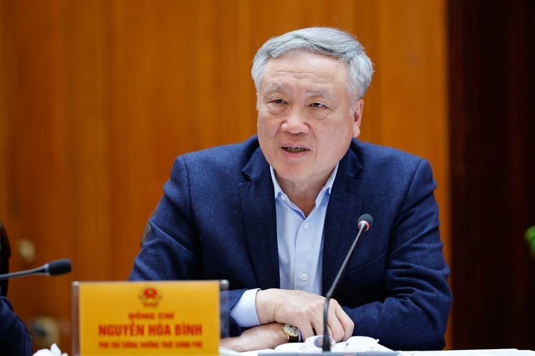 Thủ tướng: Tiếp tục giải quyết các quan tâm của phía Hoa Kỳ bằng biện pháp thuế quan và phi thuế quan- Ảnh 3.