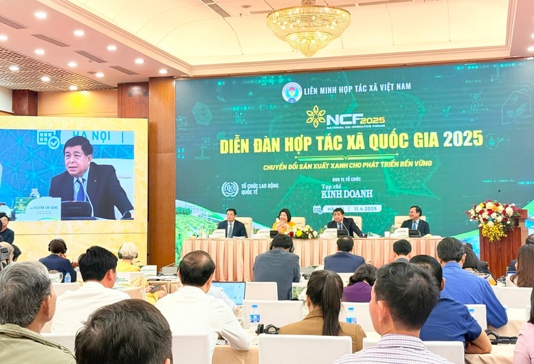 Hợp tác xã cần nhanh chóng chuyển tư duy sản xuất nông nghiệp sang kinh tế nông nghiệp- Ảnh 2.