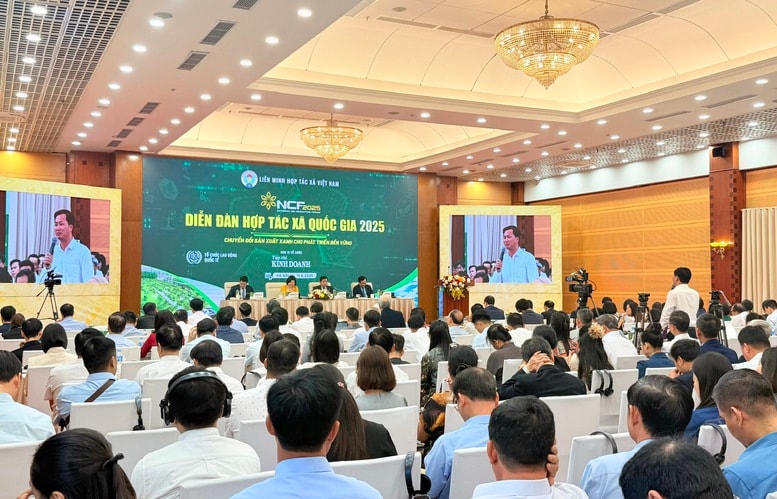 Hợp tác xã cần nhanh chóng chuyển tư duy sản xuất nông nghiệp sang kinh tế nông nghiệp- Ảnh 3.