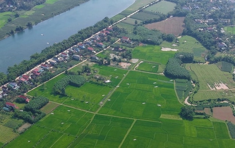 Hình ảnh đàn cò nhạn sà xuống cánh đồng của người dân ở thị trấn Phong Nha. Ảnh: Người lao động