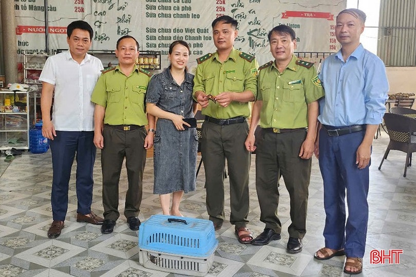 Chị Võ Thị Hồng Trang bàn giao cá thể rùa cho Hạt Kiểm lâm Hương Khê và Vườn Quốc gia Vũ Quang. bqbht_br_z6732909032548-7ecb652061d0ddcd85fc2fccdd8226d2.jpg