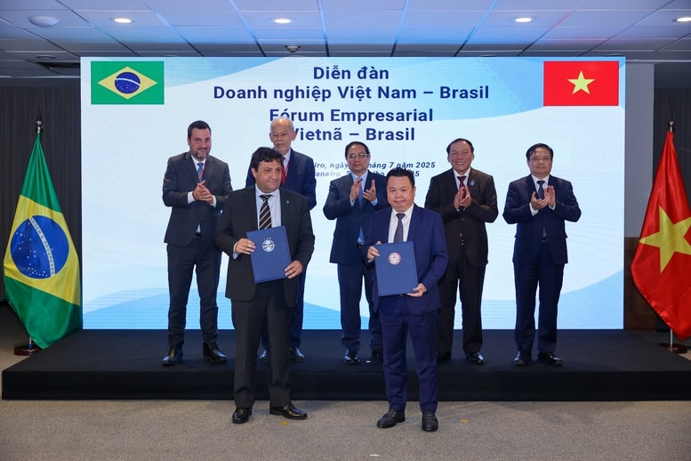 Thủ tướng kêu gọi doanh nghiệp Việt Nam – Brazil hiện thực hóa hàng loạt định hướng mới trong hợp tác kinh tế- Ảnh 8.