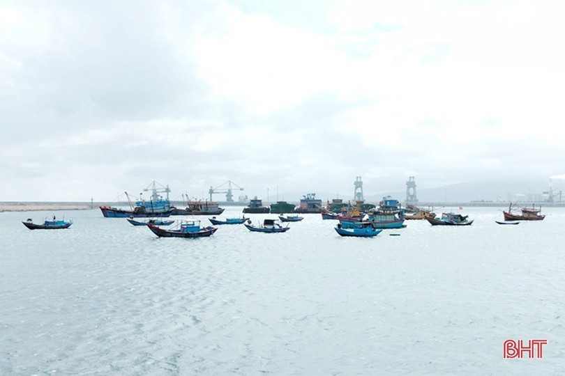 Các địa phương cần theo dõi chặt chẽ diễn biến của áp thấp nhiệt đới, kêu gọi tàu thuyền vào nơi tránh trú an toàn. Ảnh minh họa image.jpg