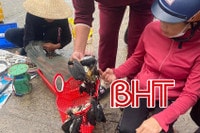 Chim trời được bày bán công khai ở chợ quê