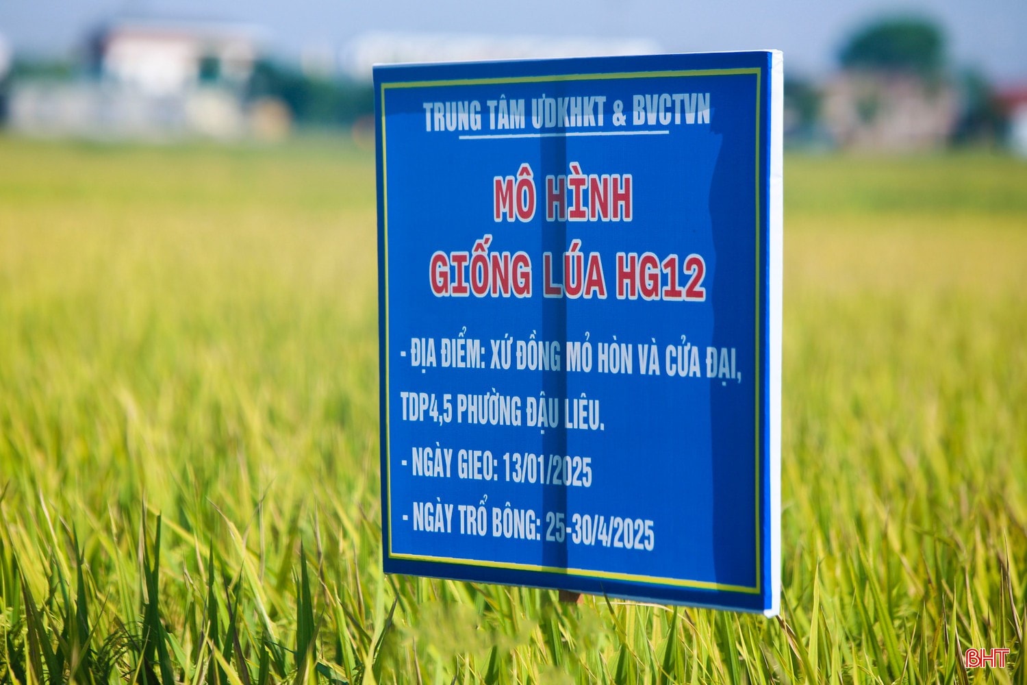 bqbht_br_16-3645-33.jpg
