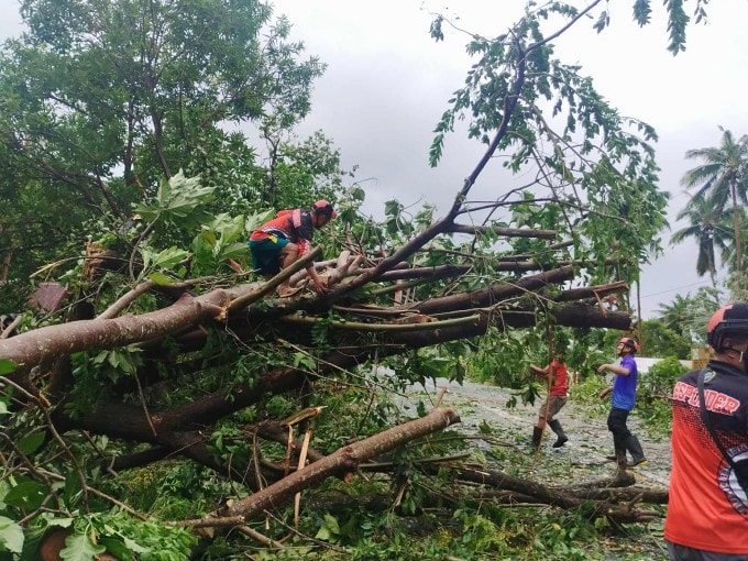 Công nhân dọn dẹp đoạn đường bị cây đổ vì bão Bualoi ở Palanas, tỉnh Masbate, Philippines, ngày 26/9. Ảnh: AFP Công nhân dọn dẹp đoạn đường bị cây đổ vì bão Bualoi ở Palanas, tỉnh Masbate, Philippines, ngày 26/9. Ảnh: AFP
