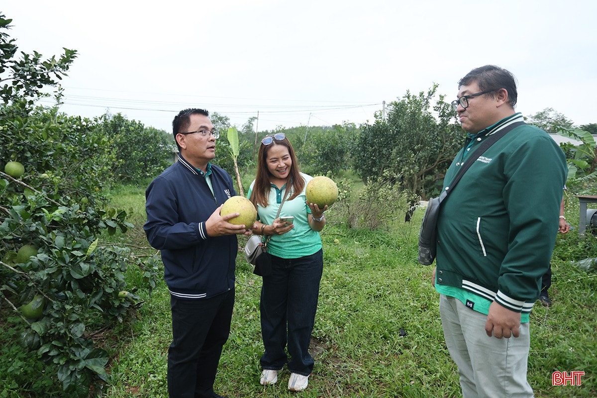 Đoàn công tác tham quan thực tế tại một số mô hình kinh tế trên địa bàn. bqbht_br_aimg-2106.jpg