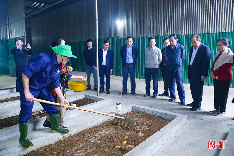 Quy trình nuôi ruồi lính đen tận dụng phụ phẩm từ nông nghiệp, góp phần giảm phát thải và nâng cao hiệu quả sản xuất. bqbht_br_img-2507.jpg