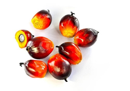 Thị trường dầu thực vật diễn biến tích cực trong phiên giao dịch đầu tuần