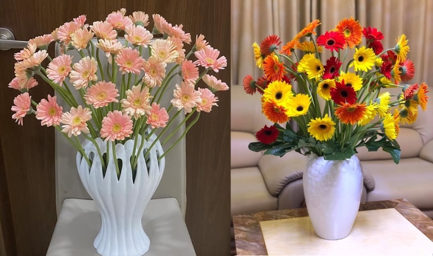 20 cách cắm hoa đồng tiền đẹp Tết 2026 sáng tạo và độc đáo