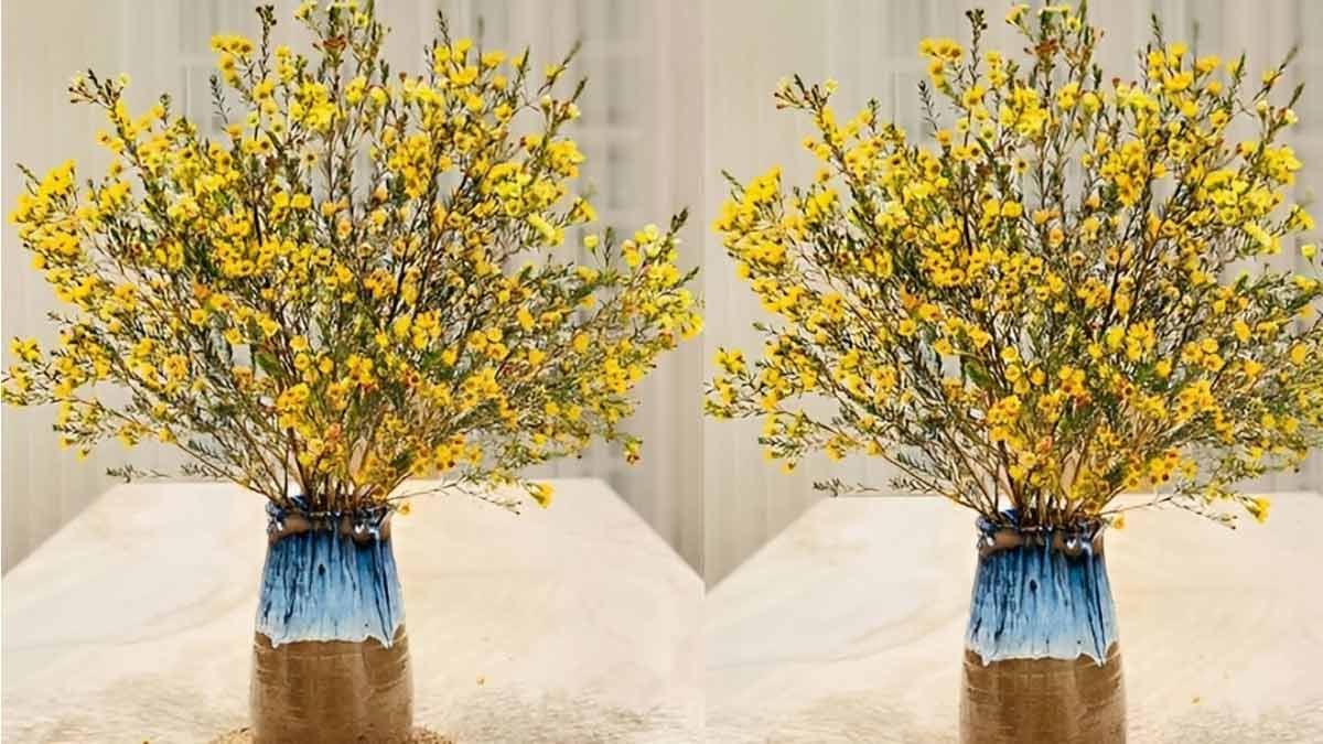 Cách cắm hoa thanh liễu chưng Tết đẹp, gặp nhiều may mắn