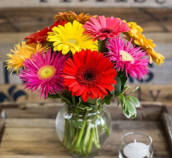 Cách cắm hoa đồng tiền đơn giản mà đẹp chơi ngày Tết | Báo Giáo dục và Thời đại Online