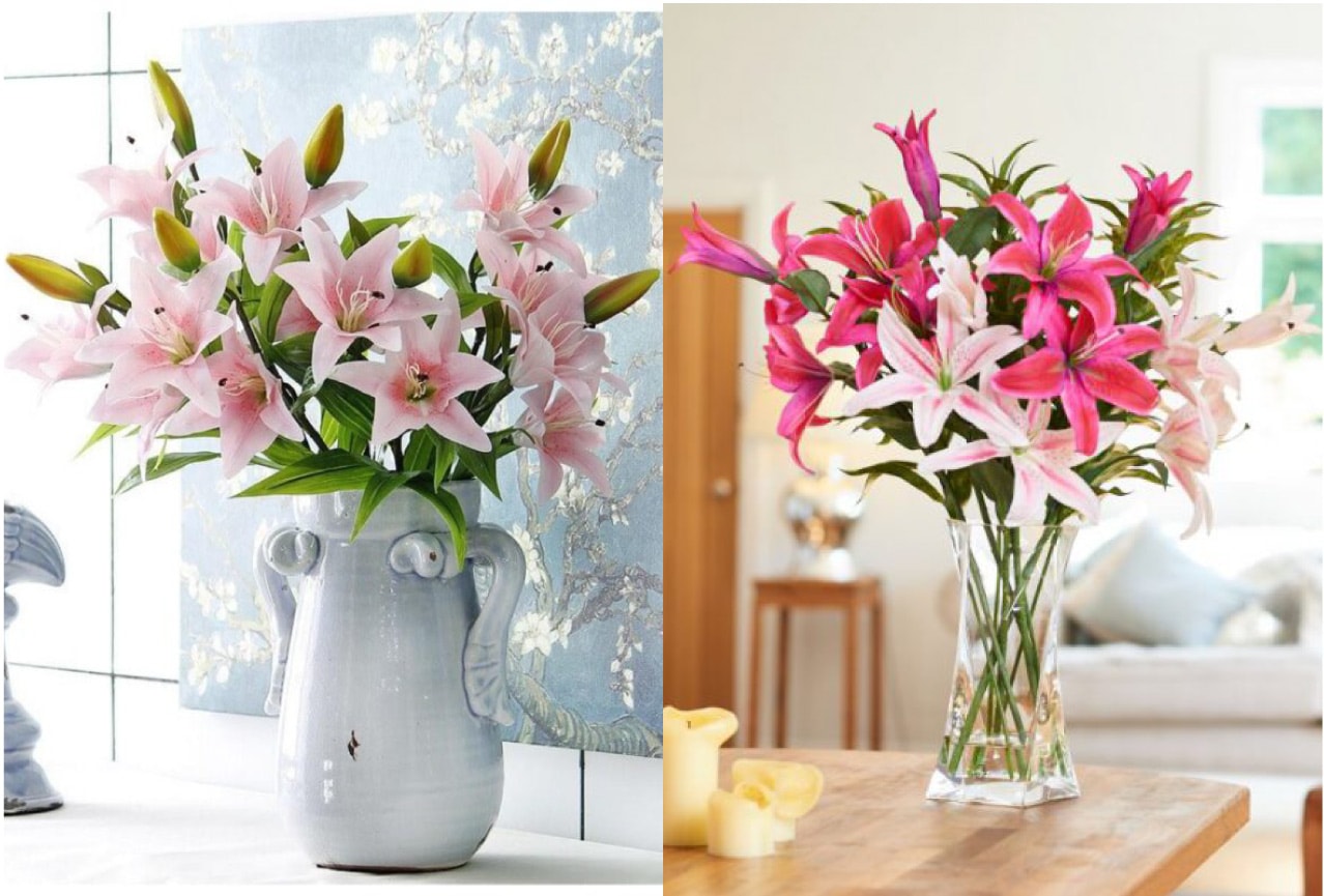 Gợi ý những mẫu cắm hoa ngày tết đẹp – Phụ Nữ & Tiêu Dùng