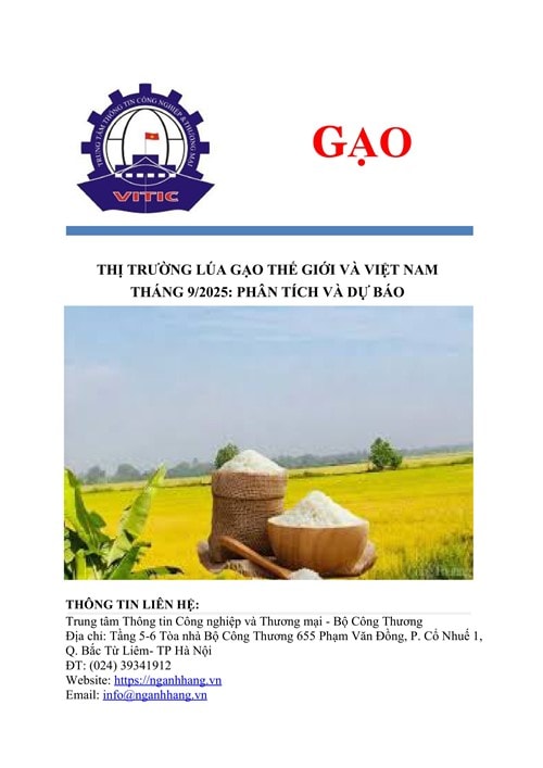 Báo cáo thị trường lúa gạo thế giới và Việt Nam tháng 9/2025