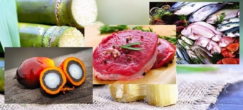 Biến động giá dầu thực vật và thực phẩm trên thị trường thế giới tháng 10/2025