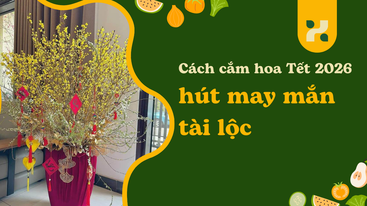 Cách cắm hoa Tết 2026