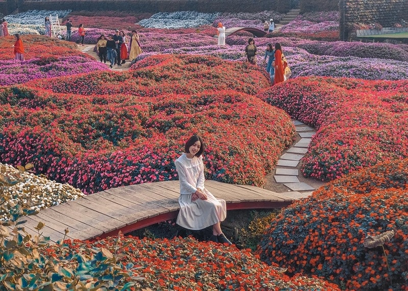 Mở cửa Thung lũng hoa hồ Tây cho người dân, du khách tham quan miễn phí | Báo điện tử Tiền Phong