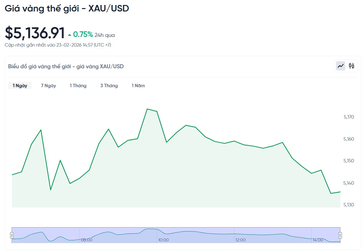 gia-vang-the-gioi-hom-nay-bieu-do-gia-vang-xauusd-kitco-02-23-2026_02_59_pm.jpg