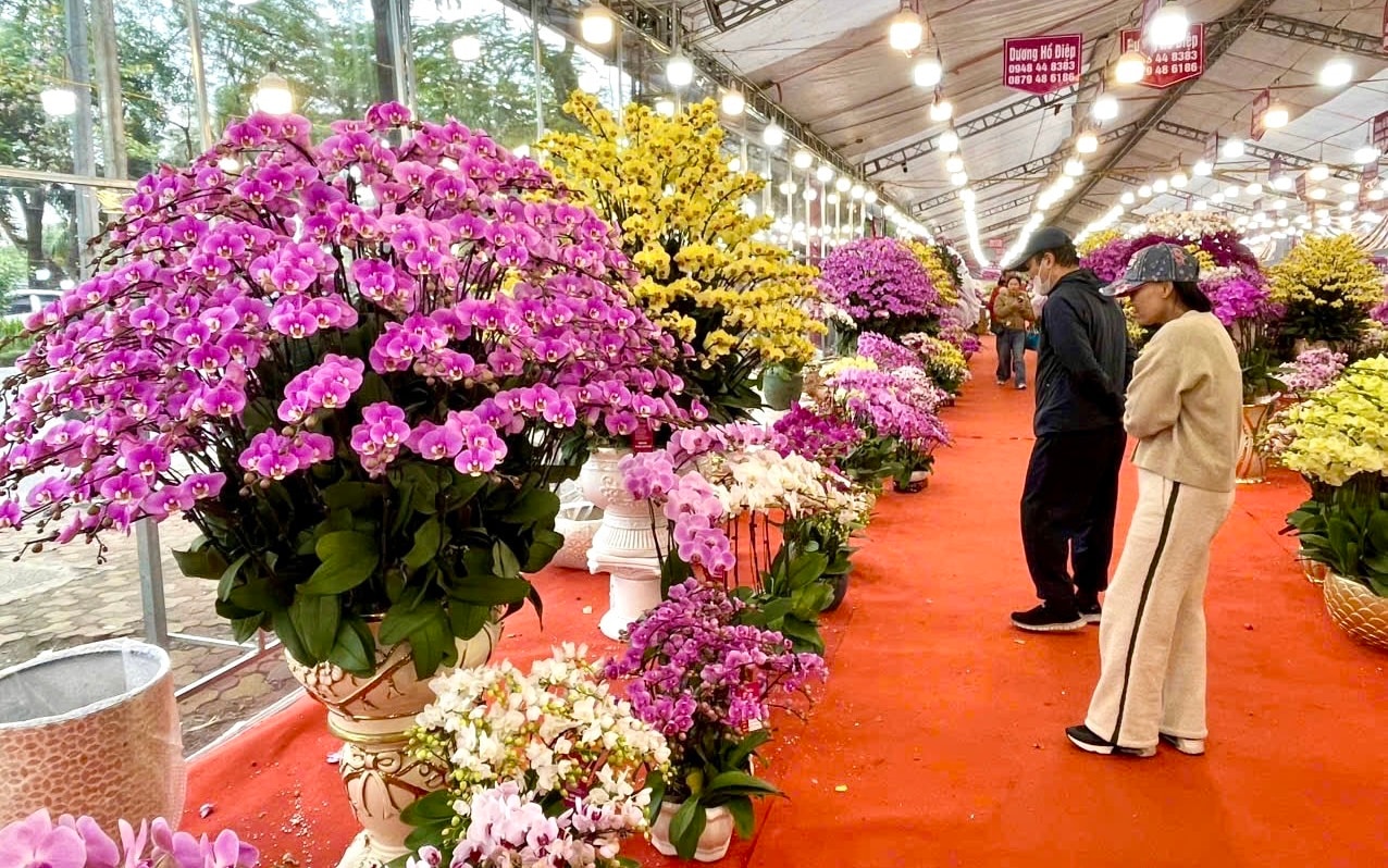 Lễ hội Cầu Bông làng rau Trà Quế 2026: Làng du lịch tốt nhất thế giới khai hội đầu xuân Bính Ngọ