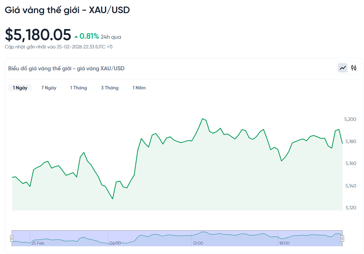 gia-vang-the-gioi-hom-nay-bieu-do-gia-vang-xauusd-kitco-02-25-2026_11_03_pm.png