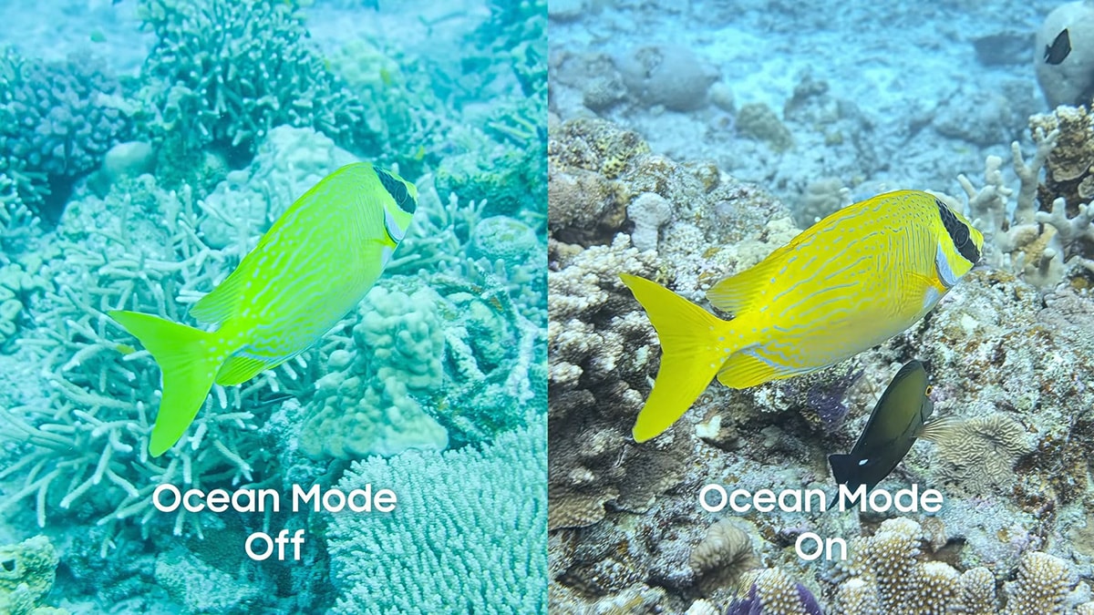 Ocean Mode giúp chất lượng ảnh tốt hơn