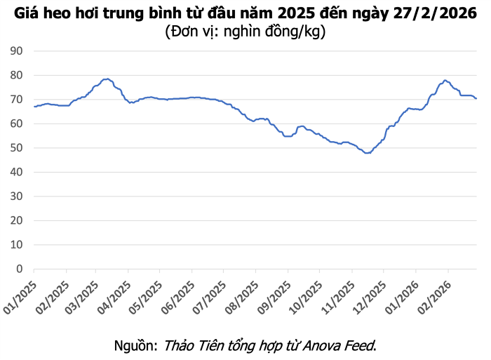 Giá heo hơi hôm nay 27/2 duy trì đà giảm ở miền Bắc và miền Trung