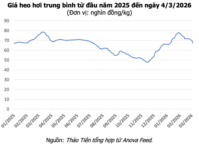 Xã Chấn Thịnh (Lào Cai) phát triển chăn nuôi hàng hóa, tạo sinh kế bền vững