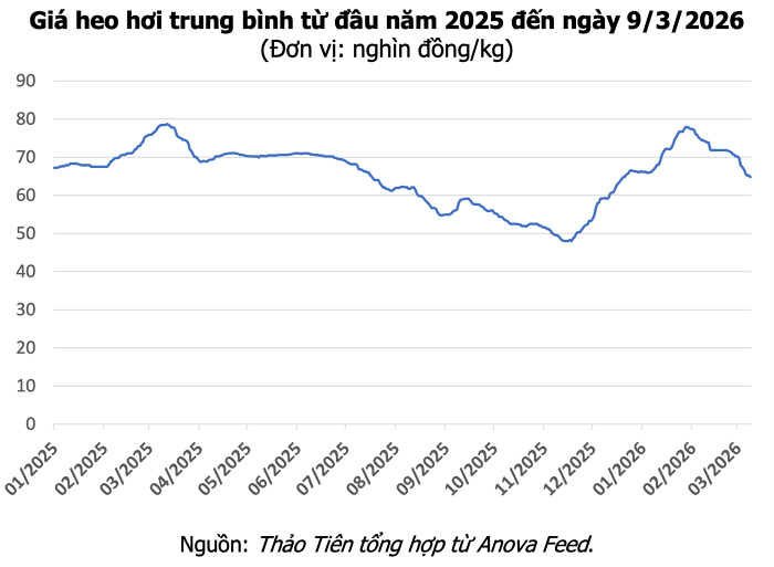 Bản đồ giá heo hơi tại ba miền ngày 9/3 ghi nhận xu hướng giảm