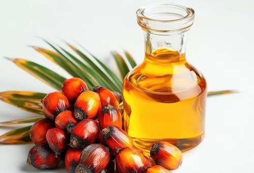 Hoạt động nhập khẩu dầu thực vật tại cảng biển