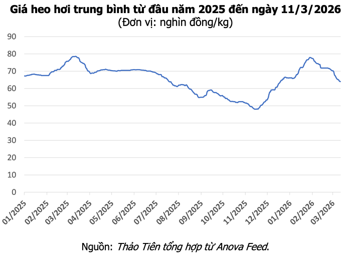 Thương lái thu mua heo hơi tại khu vực miền Nam trong phiên giao dịch ngày 11/3