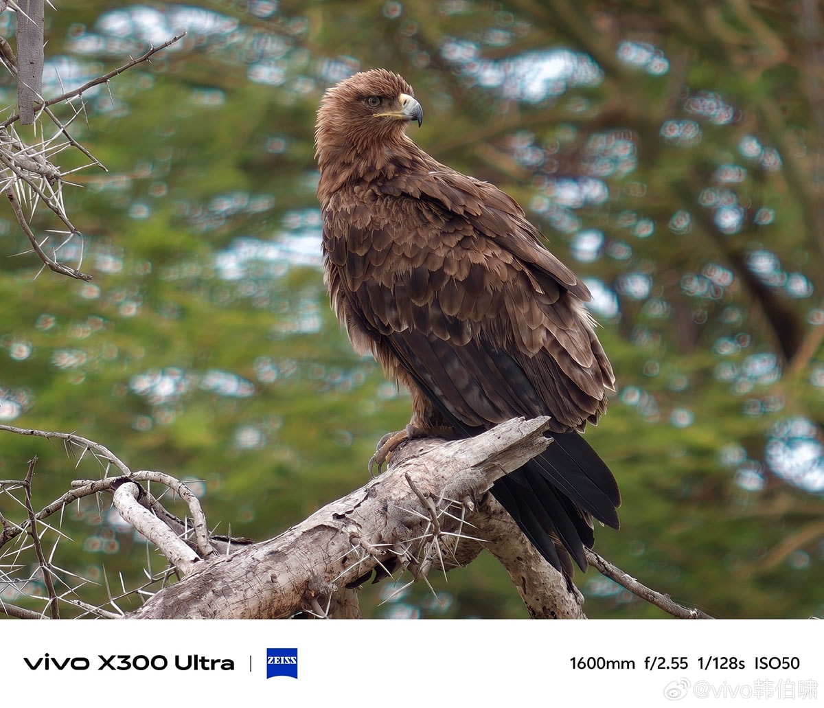 Thử nghiệm khả năng zoom trên vivo X300 Ultra