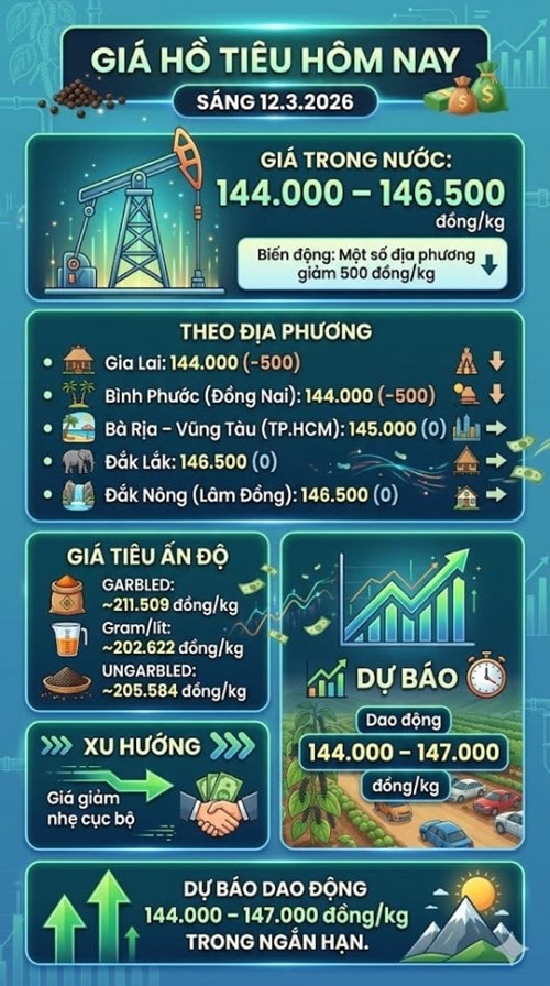 Giá hồ tiêu hôm nay 12.3: Một số địa phương giảm nhẹ