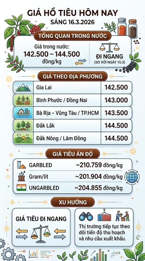 Bảng giá hạt tiêu trong nước hôm nay 16/3/2026 tại các địa phương