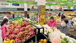 Nông dân thu hoạch dưa hấu tại ruộng trong bối cảnh giá giảm sâu