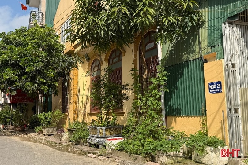 Cây cảnh "lấn" vỉa hè - Vẫn chưa quyết liệt xử lý?