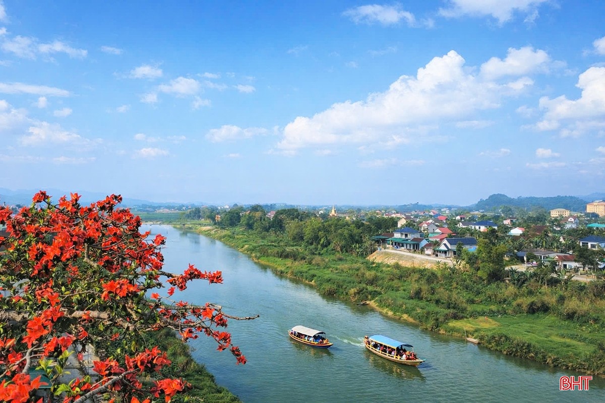 Chiêm ngưỡng cây hoa gạo cổ thụ bung nở bên dòng Ngàn Phố