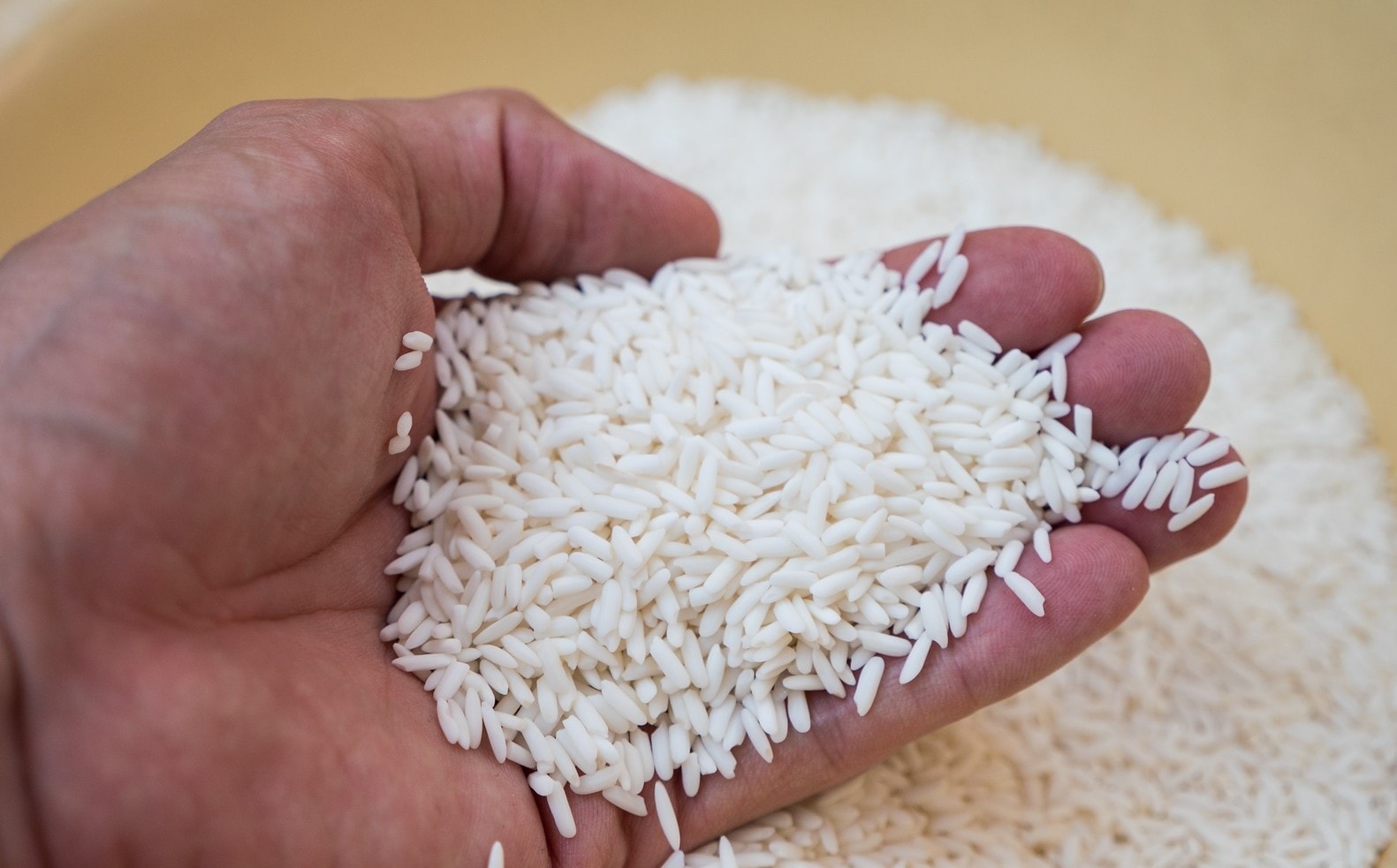 Thị trường lúa gạo tại Đồng bằng sông Cửu Long ghi nhận giao dịch chậm trong ngày 20/3