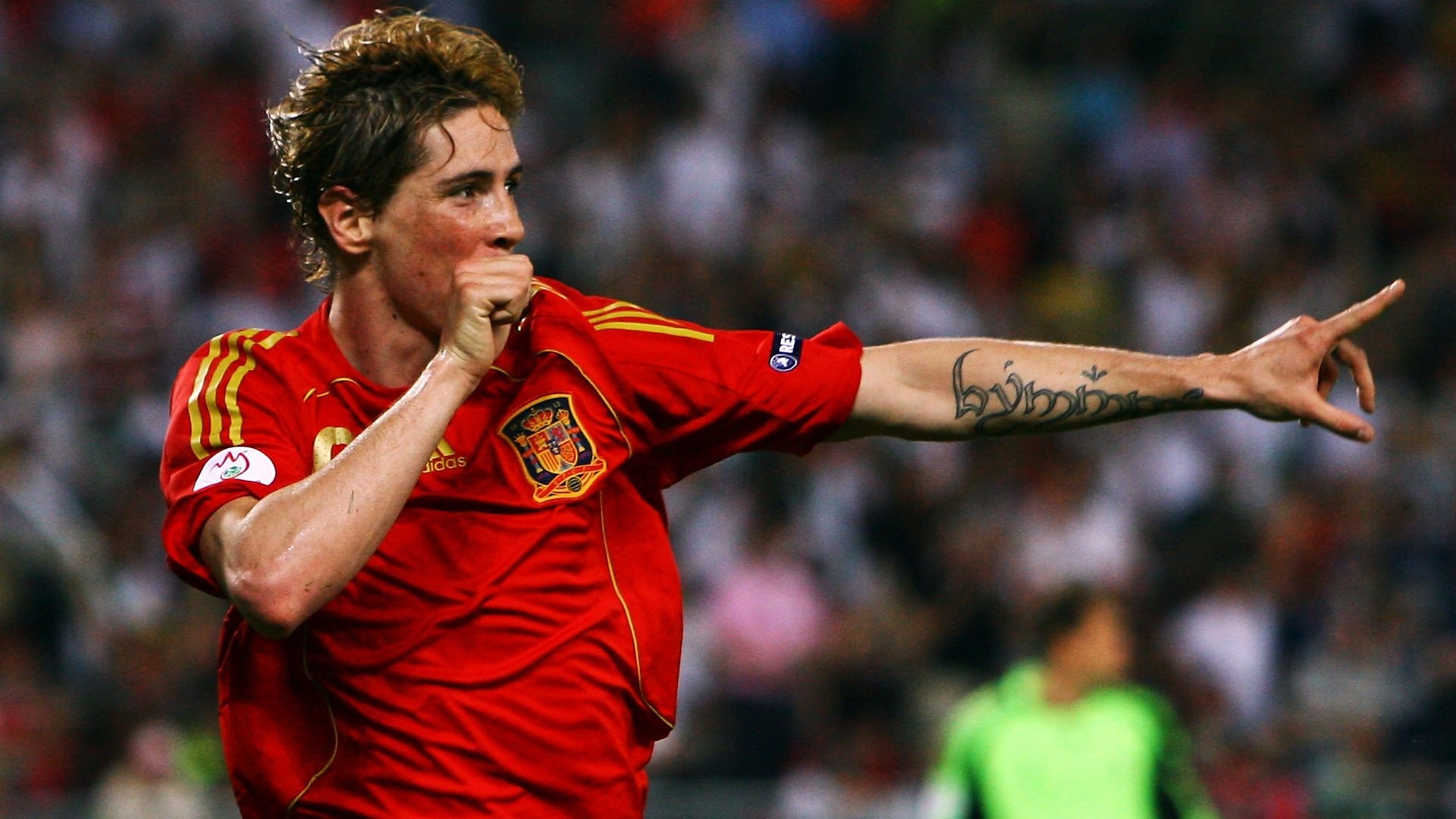 Fernando Torres trong màu áo đội tuyển Tây Ban Nha thời đỉnh cao.