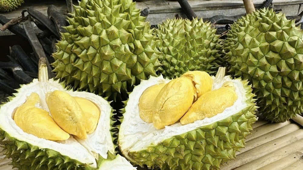 Giá sầu riêng hôm nay 23/3: Sầu riêng Ri6 loại A có giá từ 90.000 – 95.000 đồng/kg