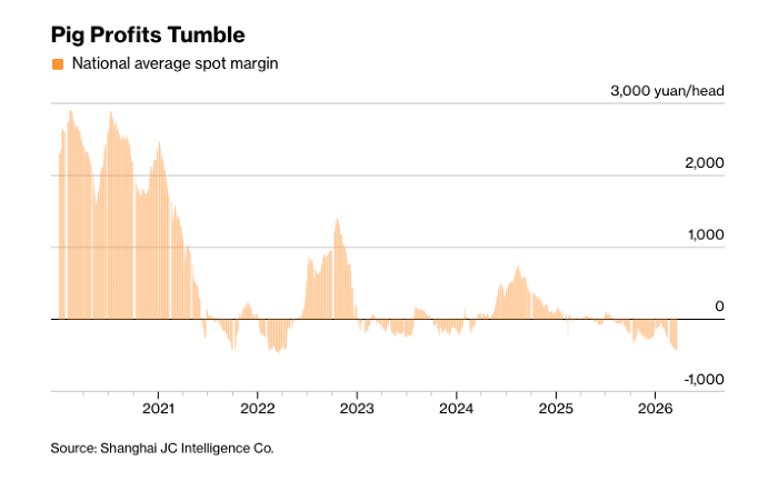 Biểu đồ biên lợi nhuận nuôi heo tại Trung Quốc giai đoạn 2025-2026