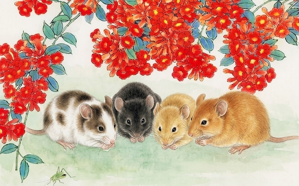 Tử vi 12 con giáp hôm nay 26/3: Tý thoải mái, Dậu êm xuôi- Ảnh 1.