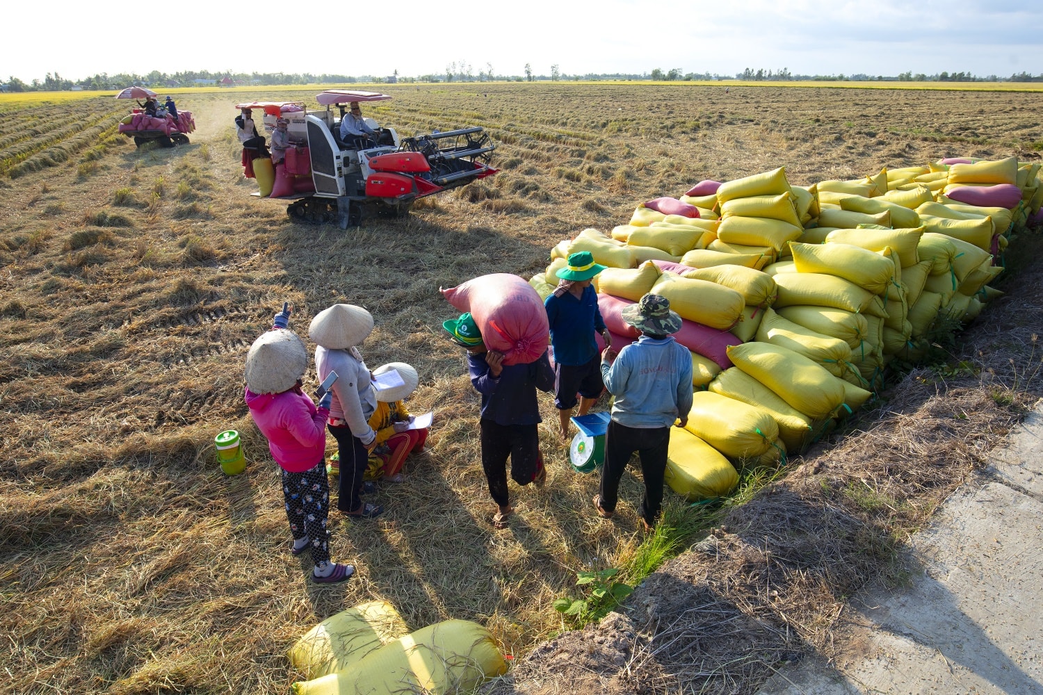 Giá phân bón hôm nay 27/03/2026: Mỹ chao đảo vì giá tăng sốc hơn 40%
