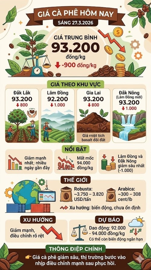 Giá cà phê trong nước hôm nay 27/3 giảm mạnh