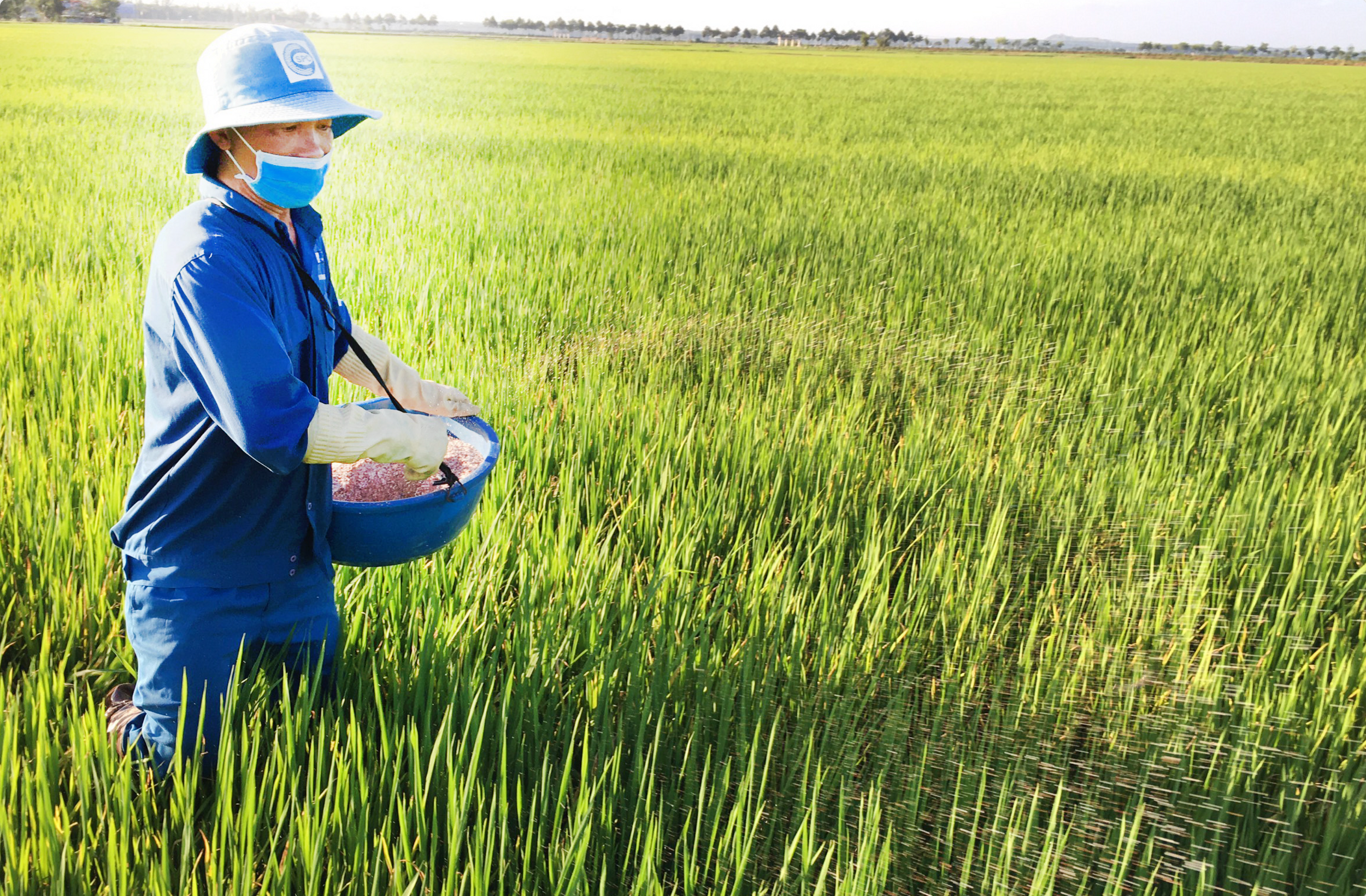 Giá phân bón hôm nay 1/4/2026: Urê thế giới tăng 83% từ đầu năm do xung đột Trung Đông