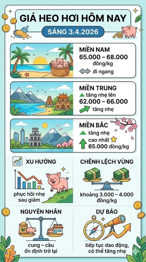 Giá heo hơi hôm nay 3.4 ghi nhận sự phục hồi nhẹ tại khu vực miền Bắc và miền Trung