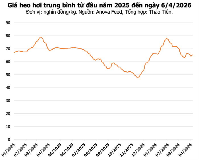 Đàn heo tại Đồng Nai duy trì đà tăng trưởng trong tháng 3 năm 2026