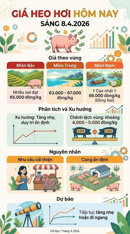 Thị trường heo hơi ghi nhận đà tăng trưởng tại các tỉnh phía Nam