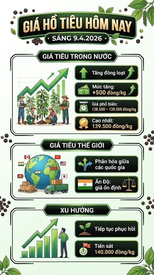 Bảng giá hạt tiêu trong nước ngày 9/4/2026