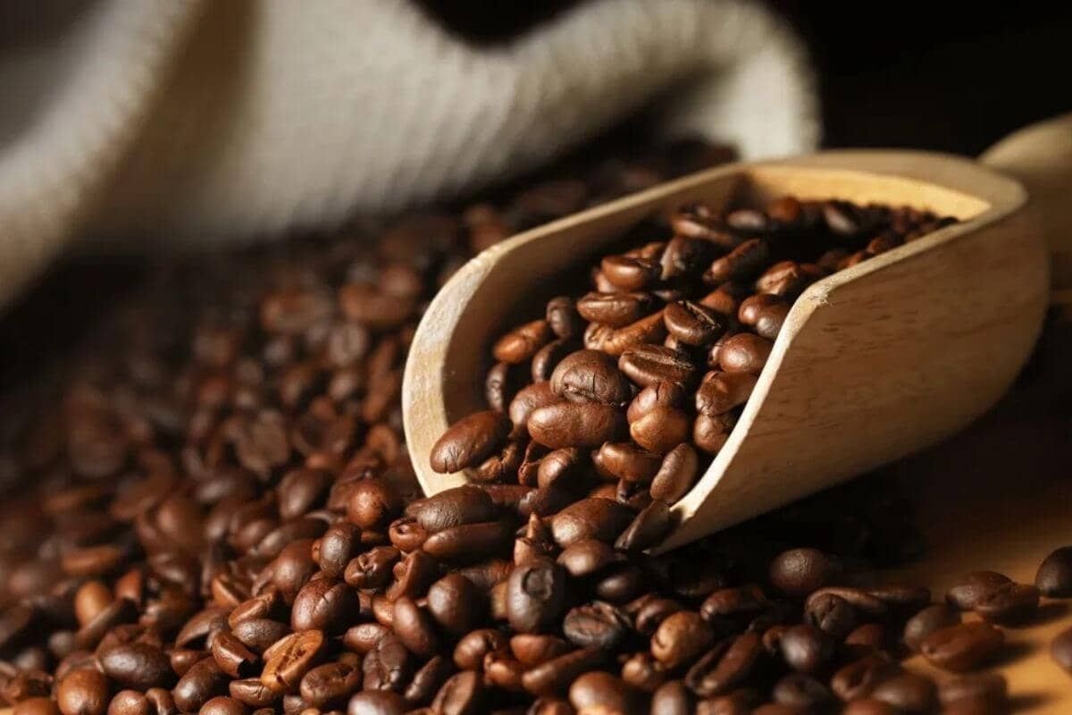 Giá cà phê hôm nay 13/4/2026: Trong nước tăng nhẹ, thế giới phân hóa